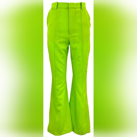 NWT $1150 sz 6 Lapointe pants